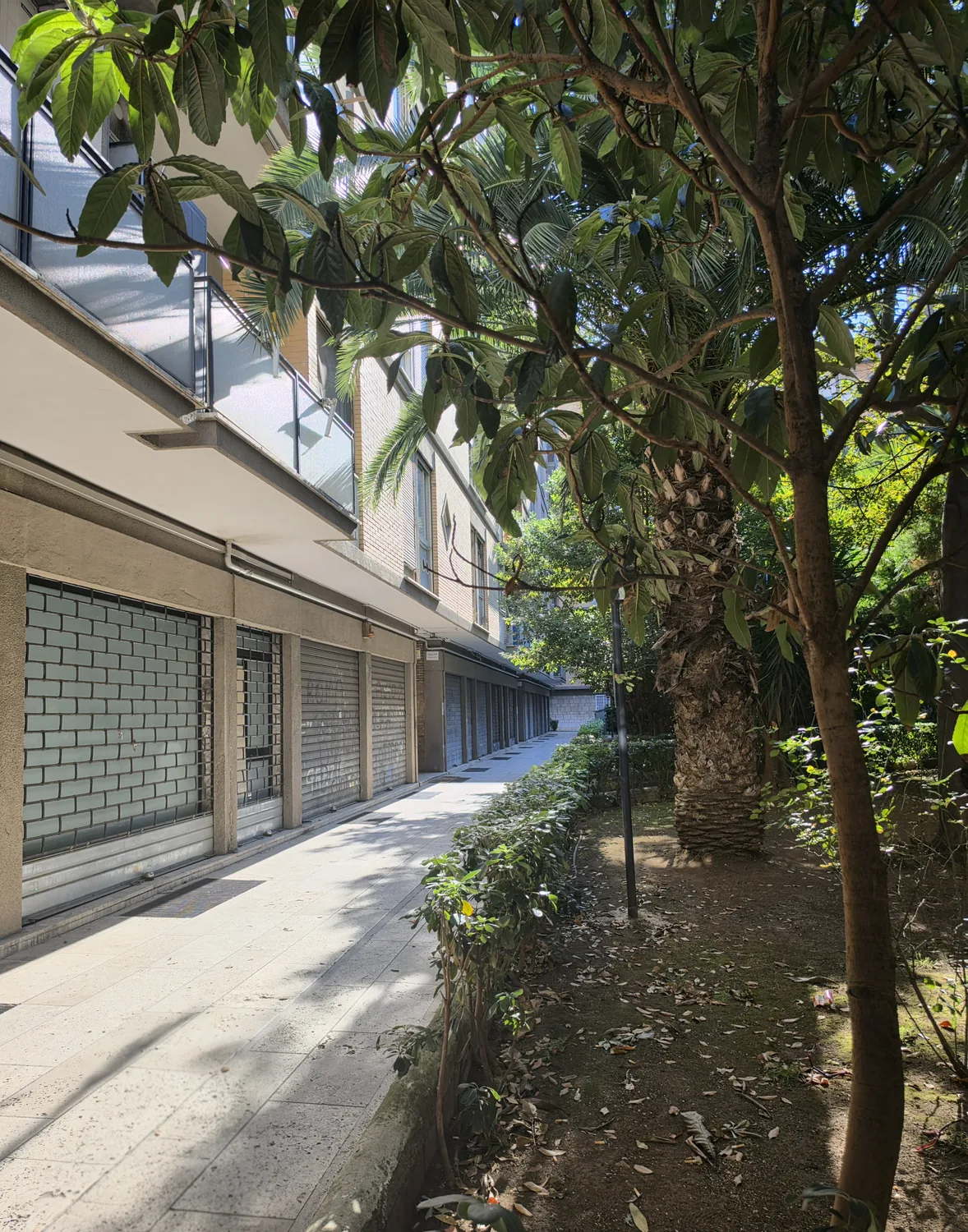Narrow path on the left, garden on the right, towards Scala C